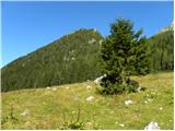 Srednji vrh (above Završnica)